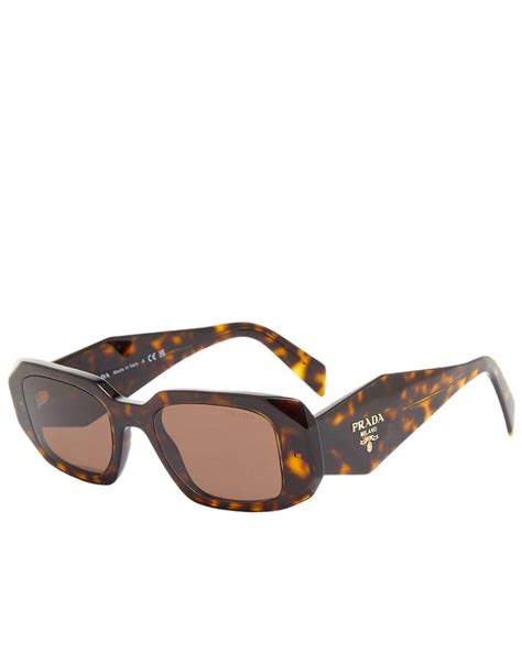 prada 17ws sunglasses brown|prada symbole sunglasses tortoise.